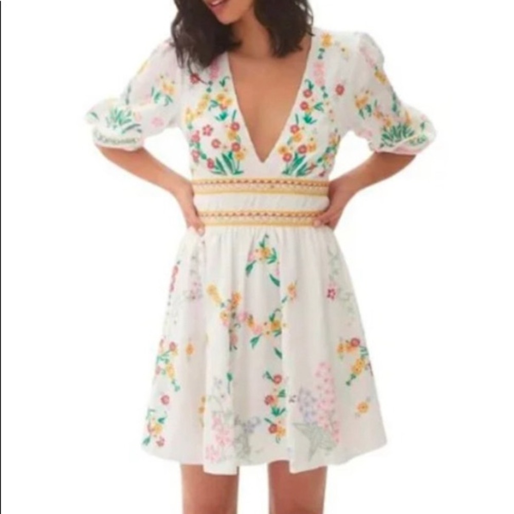 Anthropologie Deep V Floral Mini Dress